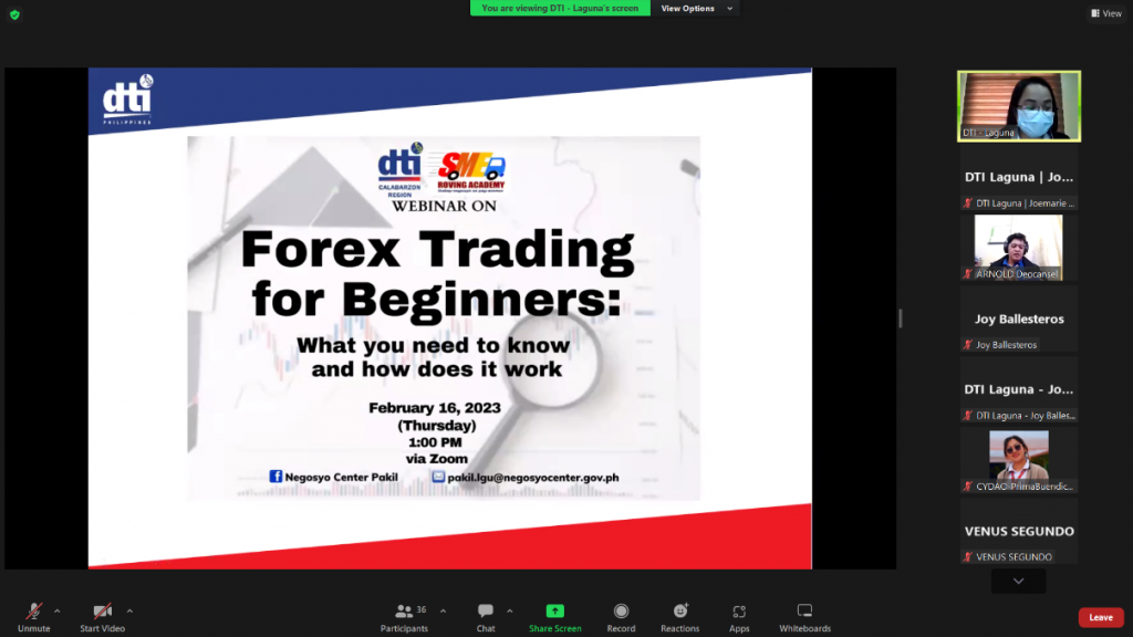 Screen capture of attendees of presentation: "Forex Trading for Beginners".