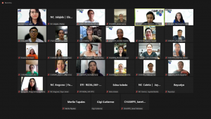 Screen capture of attendees of the webinar.