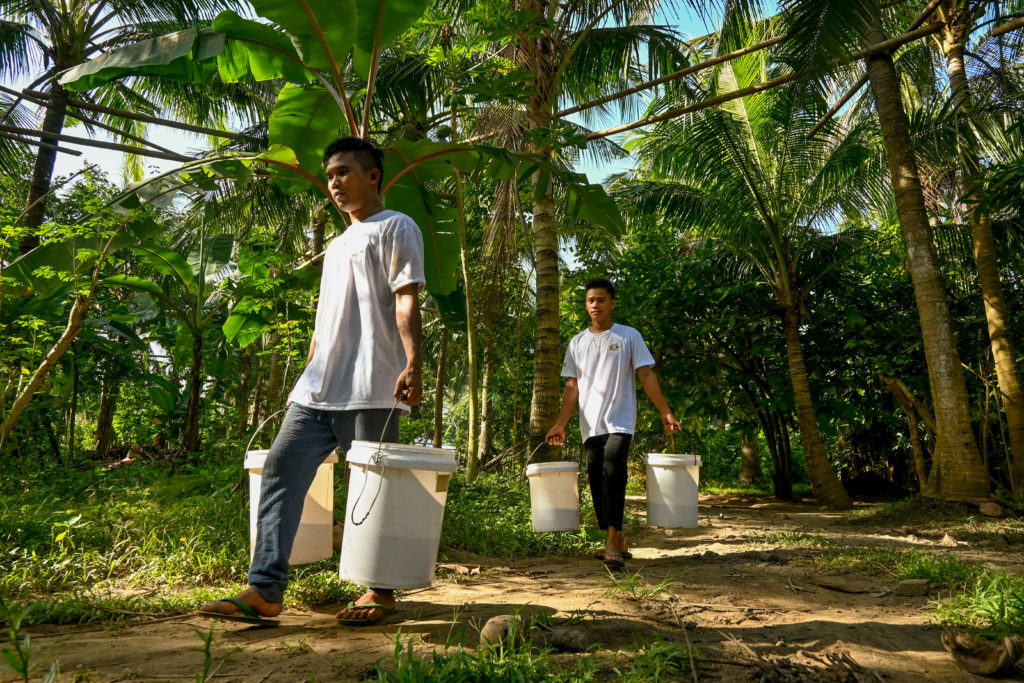 Julius and Helbert Malan, brothers working as coconut harvester for Pasciolco Agri-Ventures filters collected sap. Coconut sap is the raw material for many proucts such as coconut oil, coconut sugar and coconut vinegar.