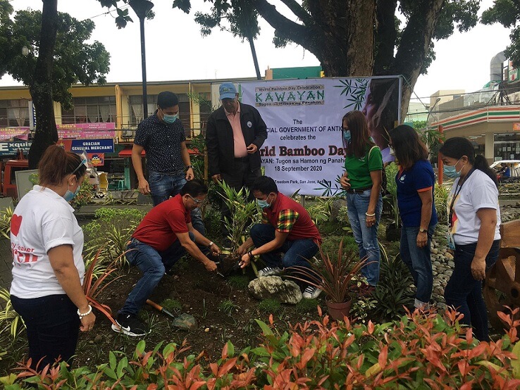 The DTI Iloilo Provincial Office and the University of the Philippines in the Visayas - School of Technology plant bamboo saplings at the UPV Miag-ao Campus in celebration of the World Bamboo Day on Sept. 18.