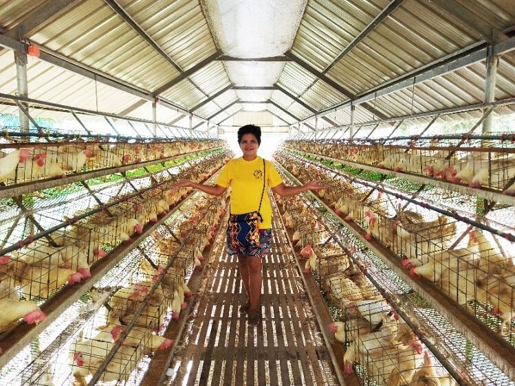 Lilibeth Arce opened her egg-layer machine for 1,000 chickens amid a pandemic but her hopes were high all for the advocacy of food sustainability in Surigao City. 