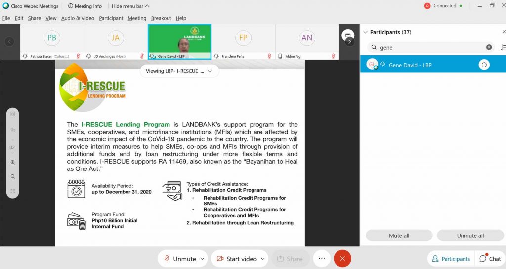 A screencap of the webinar presentation