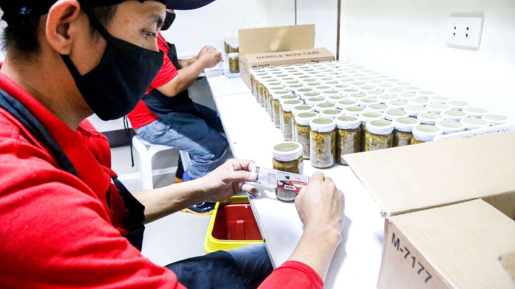 Staff working on the packaging of bottled palapa