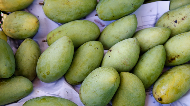 Freshly picked green mangoes that Mango King uses for their products