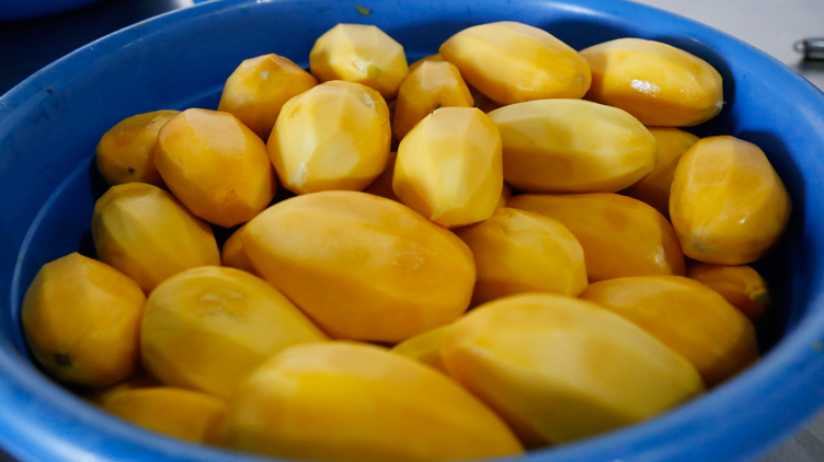 Peeled mangoes, ready for processing