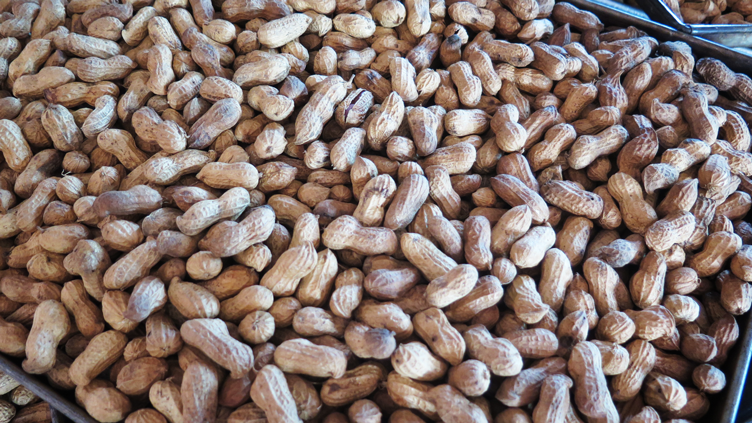 Raw peanuts, ready to be cooked