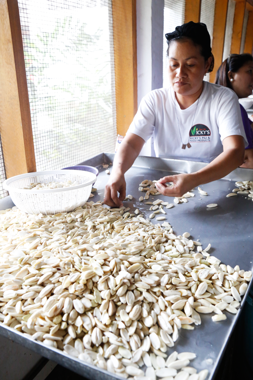 Vicky’s Pili and Food Products employee picking out the pili nuts ready for processing