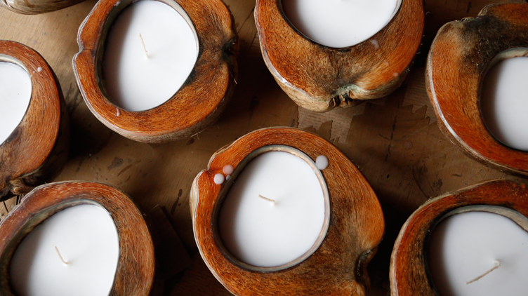 Laminated halves of coconut shells with candles inside