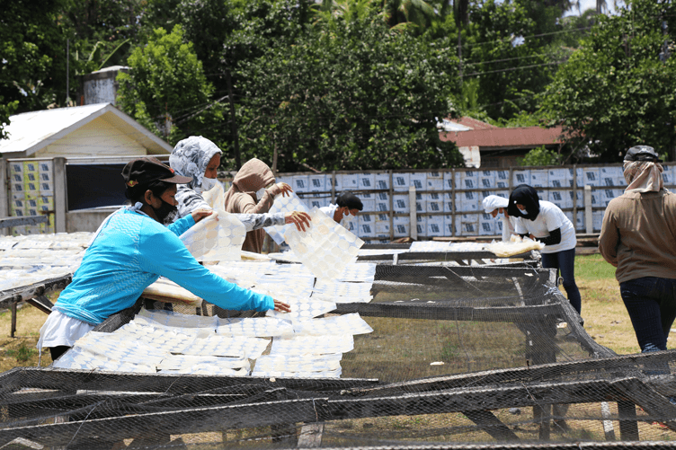 Members of the Dapitan Cassava Growers and Processors Association laying cassava on nets beneath the sun