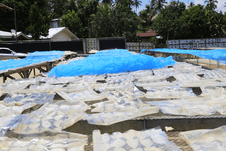 Chipped cassava being dried out under the sun
