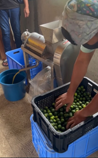 DTI Misamis Oriental turned over P686,400.00 worth of calamansi processing equipment and facility to Mindulao Farmers Agrarian Reform Community Cooperative or MINFARCCO) in Magsaysay, Misamis Oriental under the Shared Service Facilities or SFF Program.