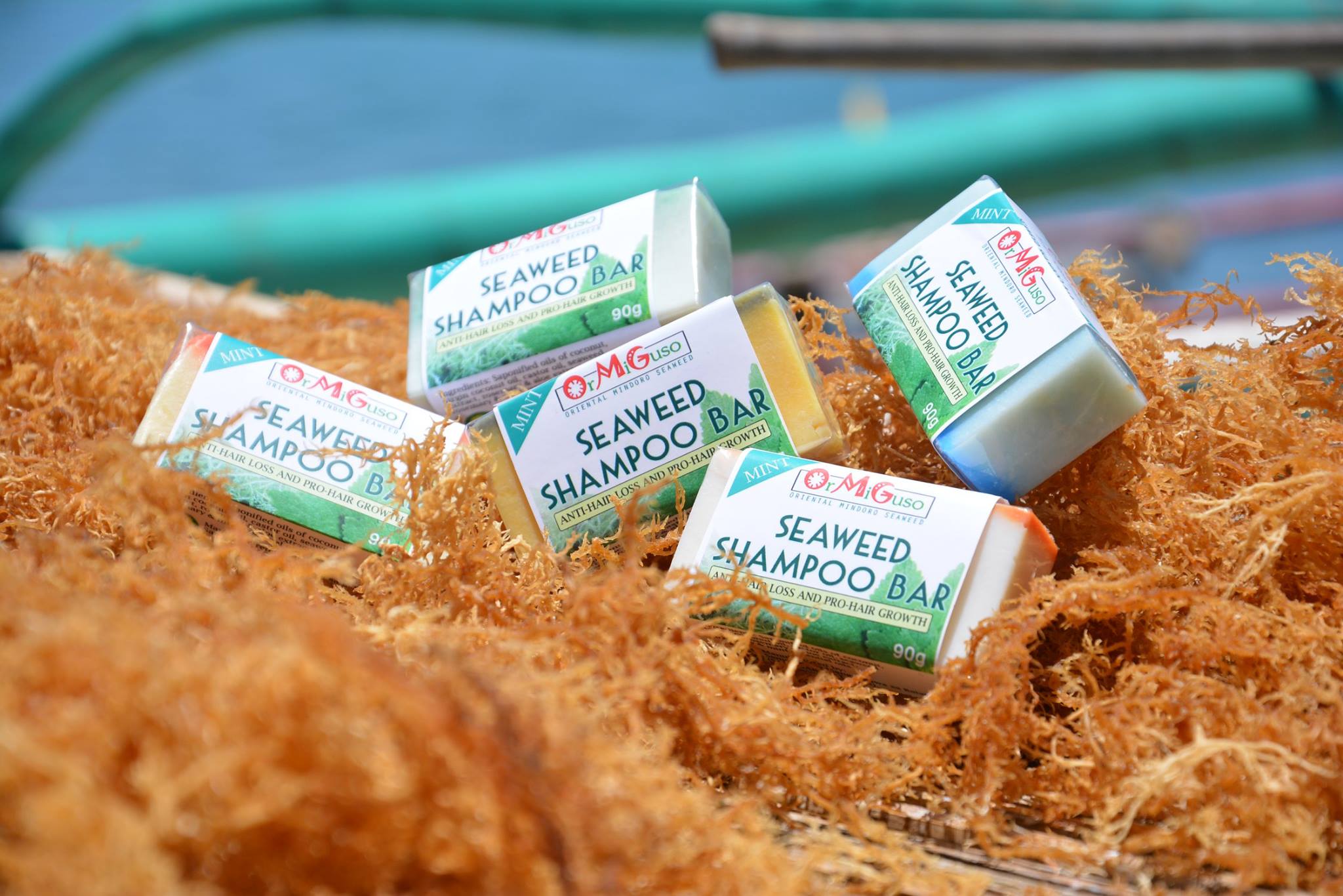 Seaweed for a Better Life