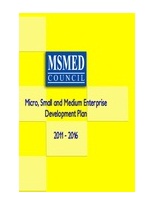 Micro, Small, and Medium Enterprise Development (MSMED) Plan 2011-2016